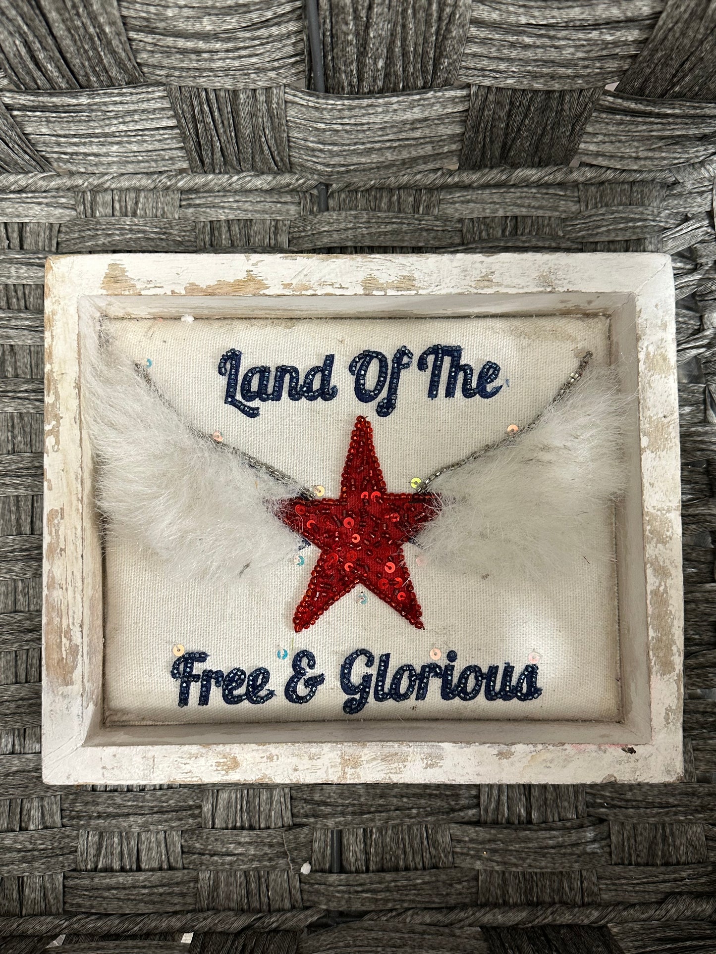 Land Of The Free & Glorious Home Decor