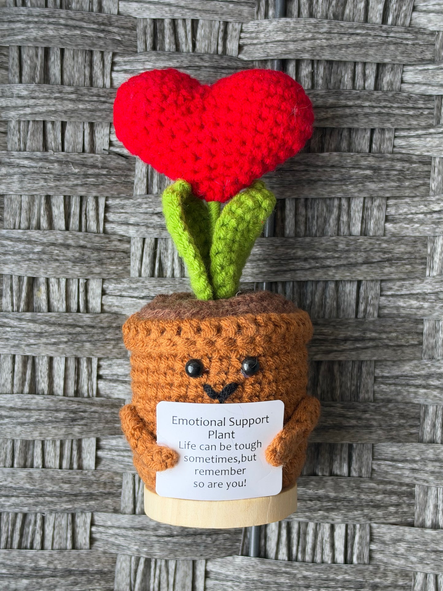 EMOTIONAL SUPPORT PLANT SMALL CROCHET GIFT - PRE OWNED