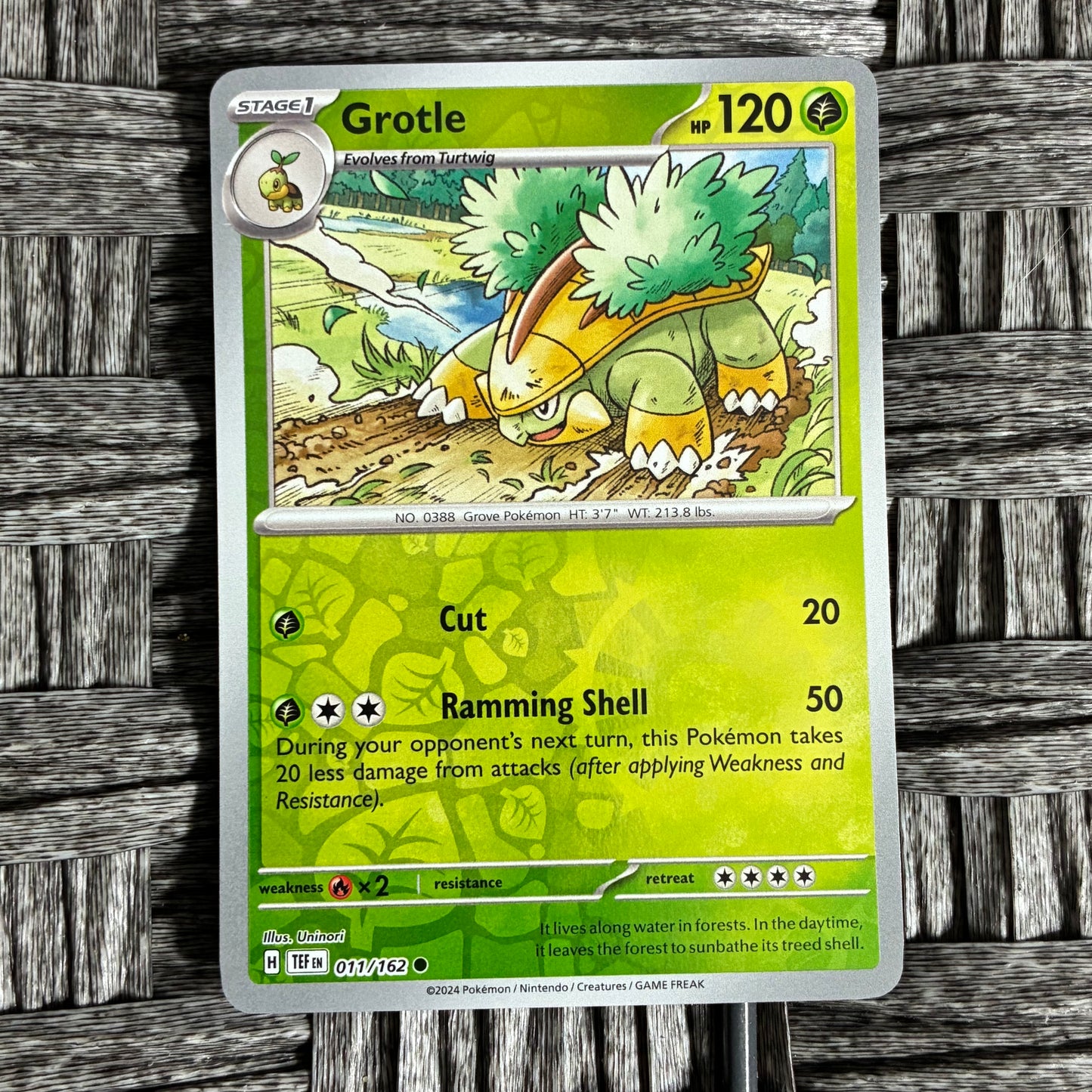 POKEMON TCG - SELECT YOUR CARD - HOLOS