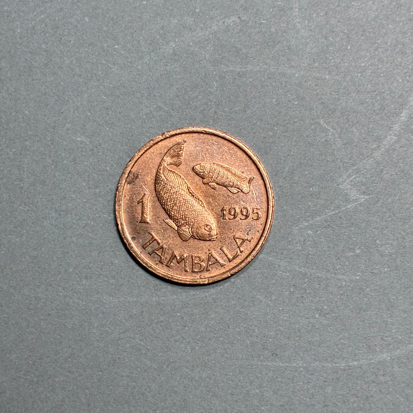 1995 MALAWI 1 TAMBALA