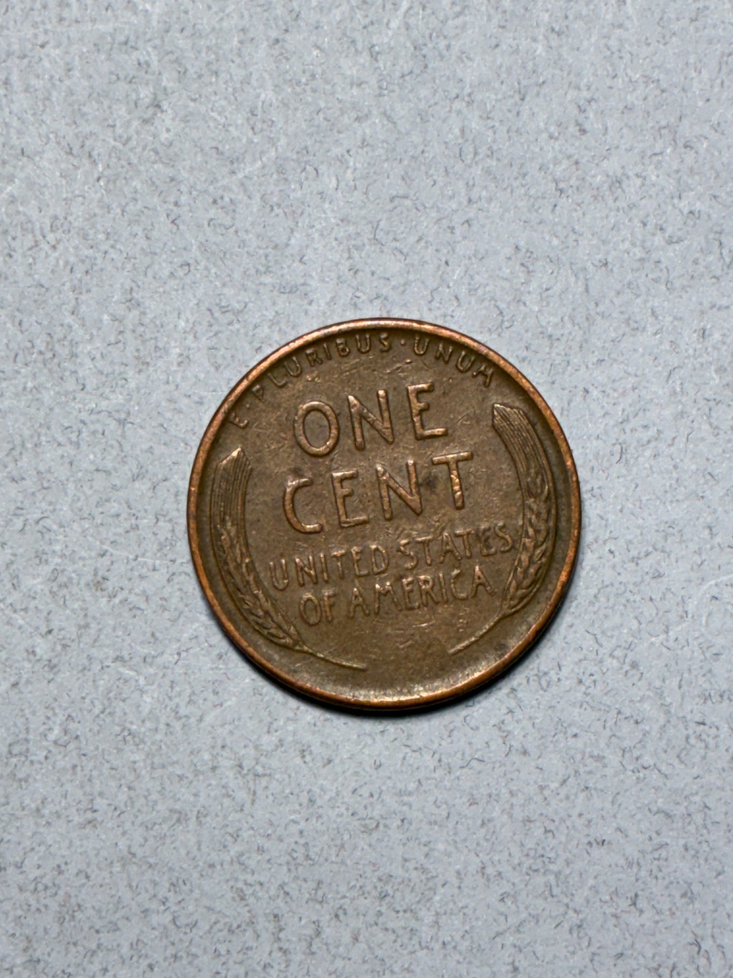 1951 D WHEAT PENNY - "L" ON RIM 95% COPPER - CIRCULATED (LN1629)