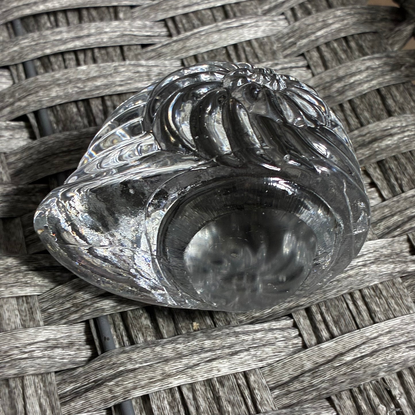CLEAR ART GLASS SHELL PAPER WEIGHT - GREAT CONDITION - NO MAKERS MARK - 1.25LBS