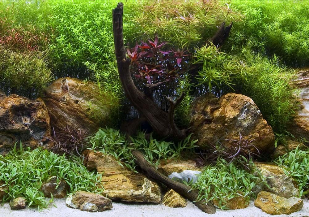 SEAVIEW DOUBLE SIDED HIGH DEFINITION AQUARIUM BACKGROUND BRIGHT STONE/GARDEN