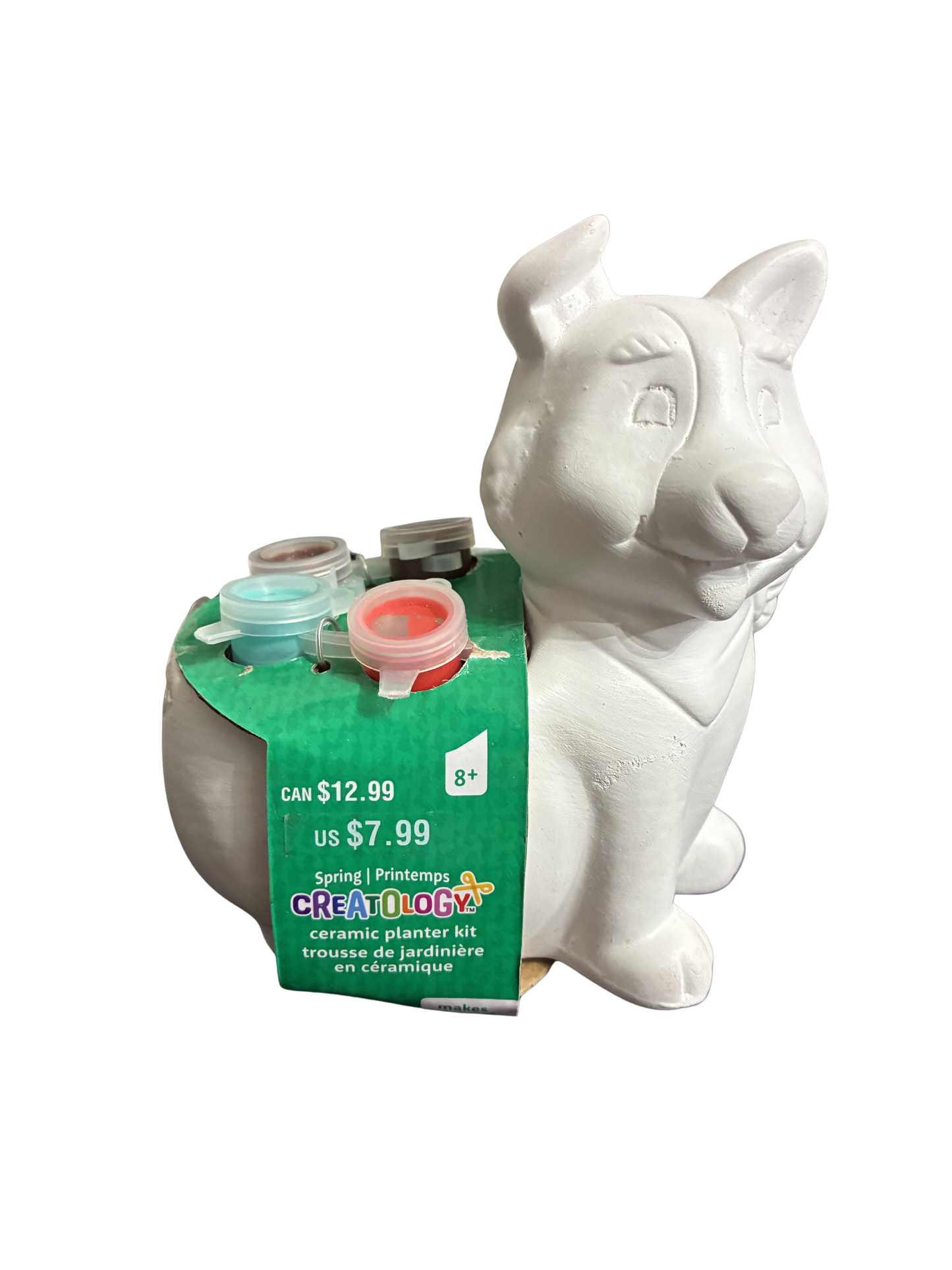 SRPING DIY CERAMIC PLANTER