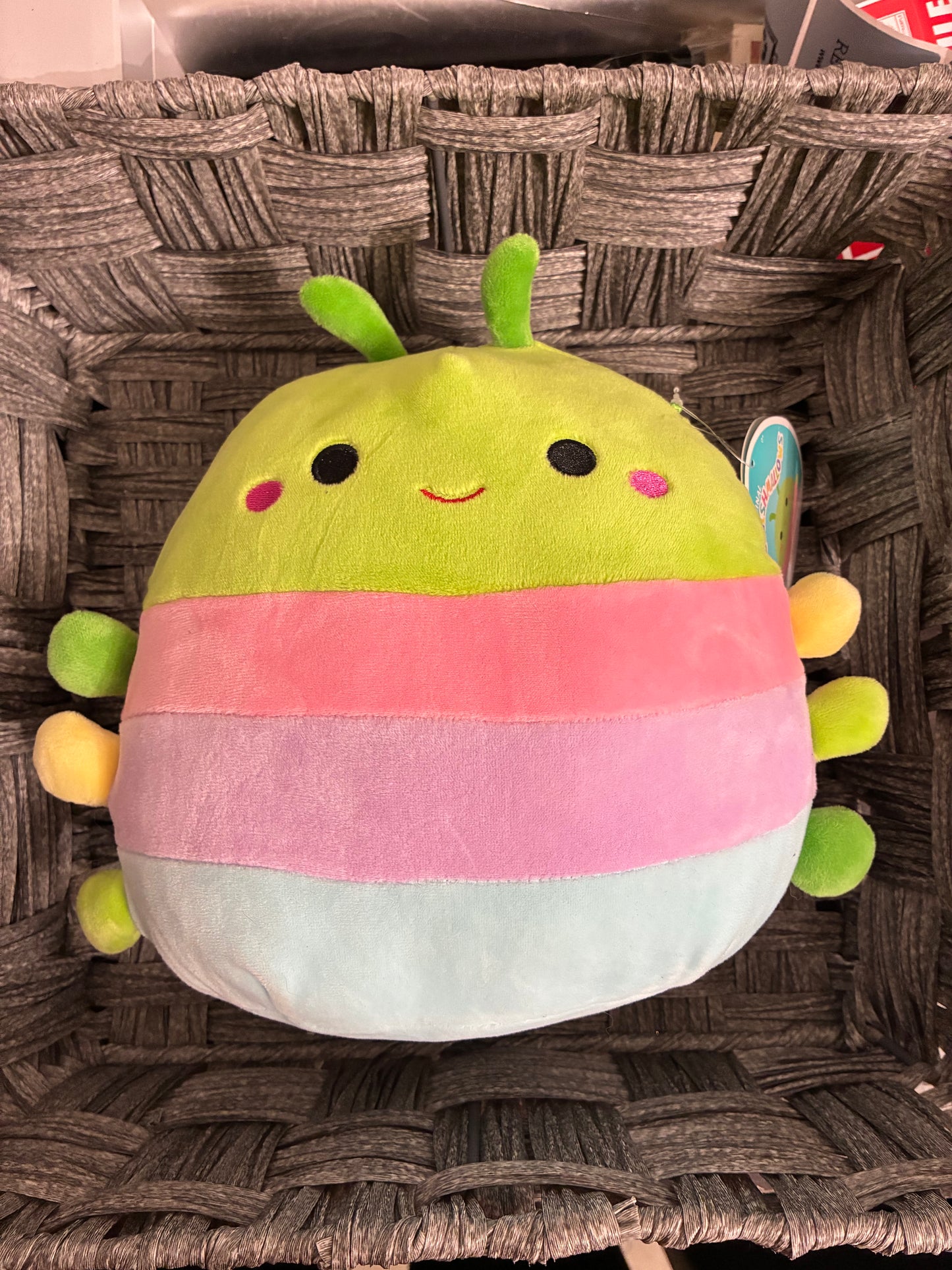 SQUISHMALLOWS RUTABAGA 8"