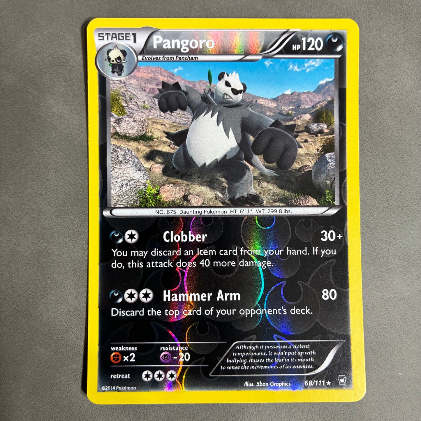POKEMON TCG PANGORO 68/111 HOLO 2014