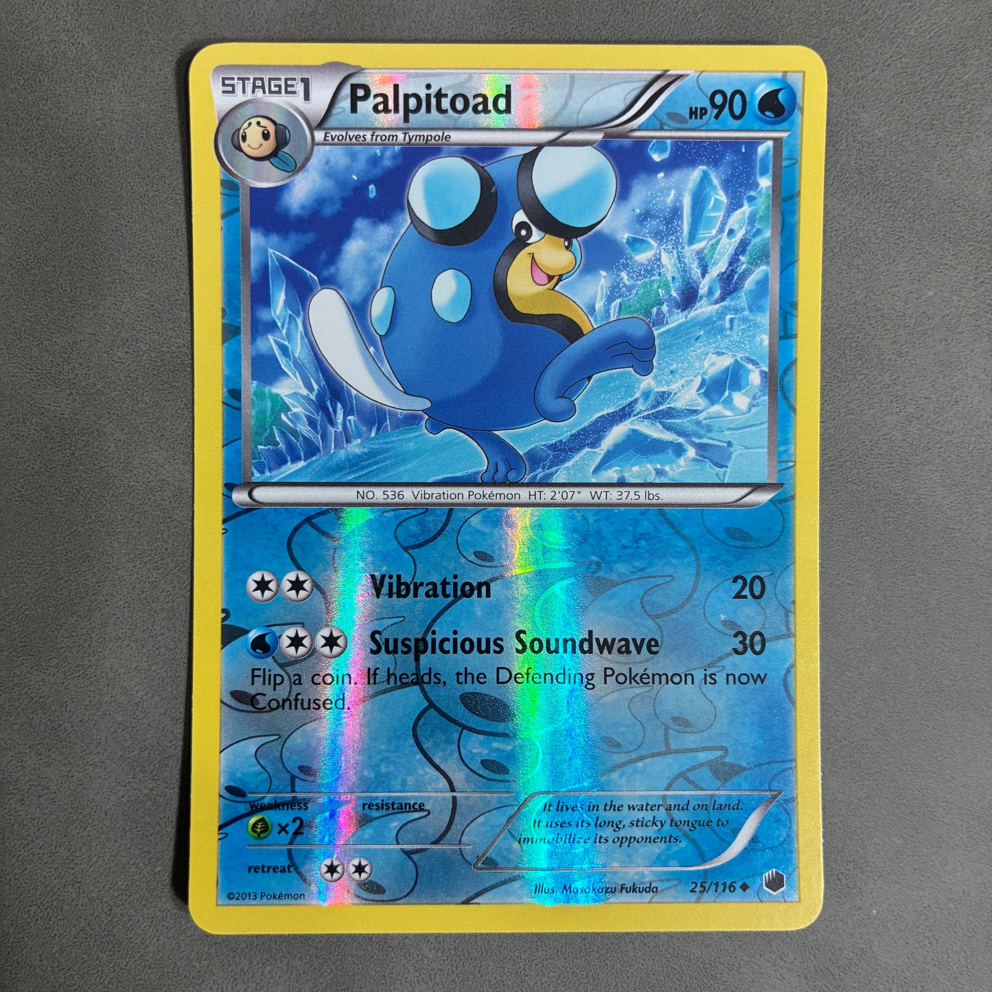 POKEMON TCG PALPITOAD 25/116 HOLO 2013