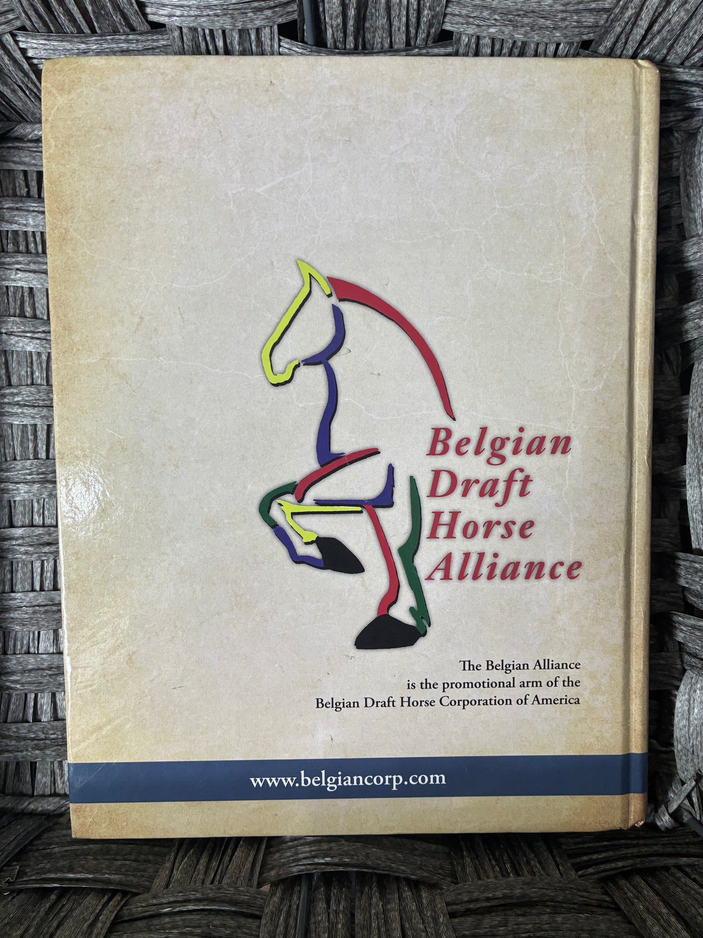 THE 2025 BELGIAN REVIEW THE BELGIAN REVIEW HORSE CORPORATION OF AMERICA