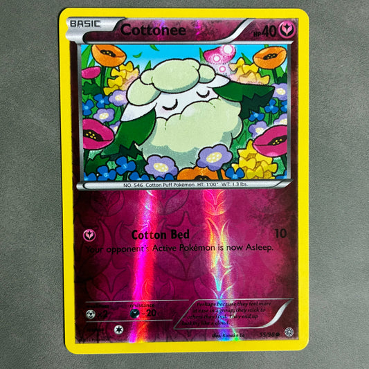 POKEMON TCG COTTONEE 55/98 HOLO 2015