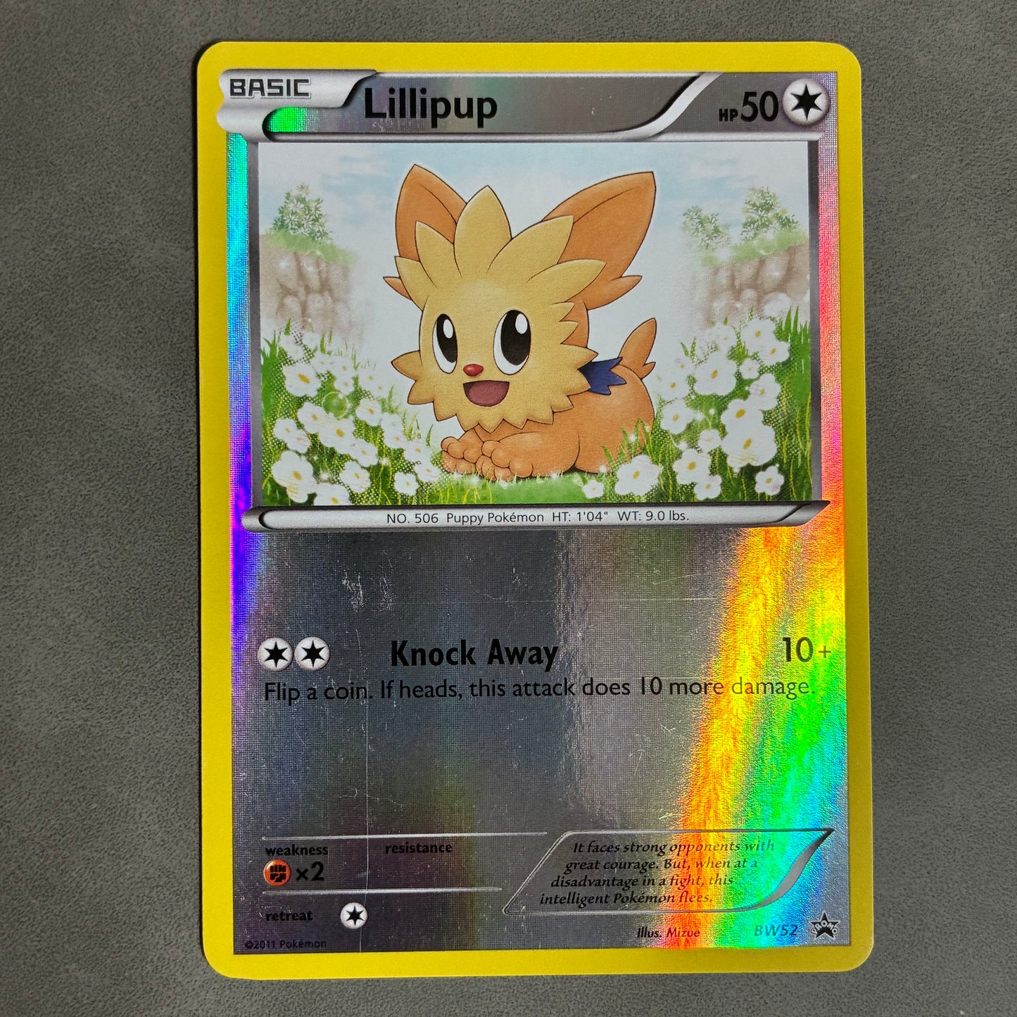 POKEMON TCG LILLIPUP BW52 PROMO HOLO 2011
