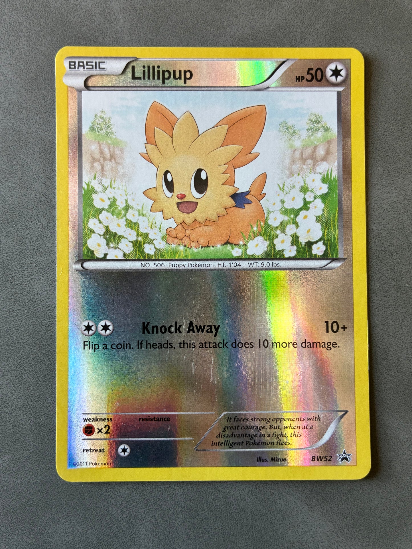 2011 POKEMON TCG - LILLIPUP BW52 PROMO HOLO
