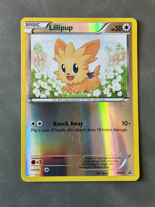 2011 POKEMON TCG - LILLIPUP BW52 PROMO HOLO