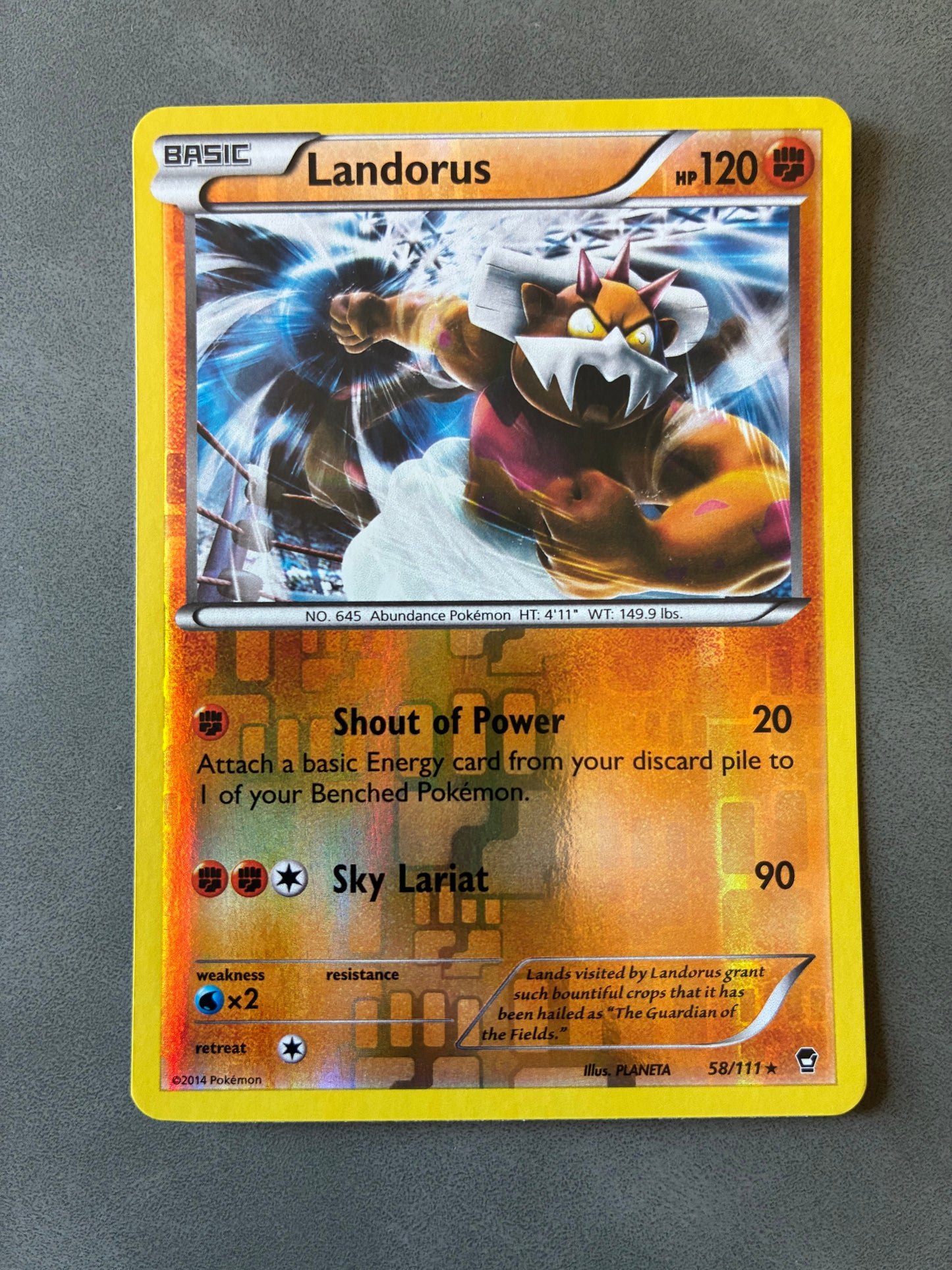 2014 POKEMON TCG LANDORUS 58/111 HOLO