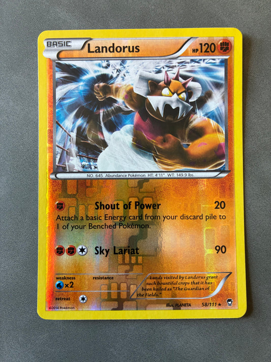 2014 POKEMON TCG LANDORUS 58/111 HOLO