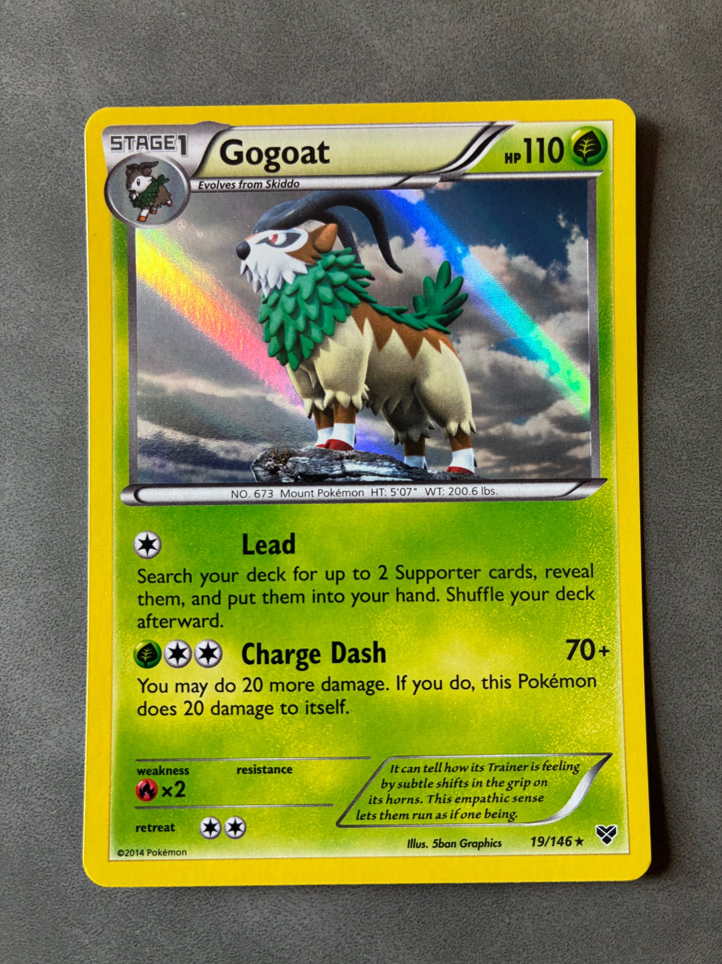 2014 POKEMON TCG GOGOAT 19/146 HOLO