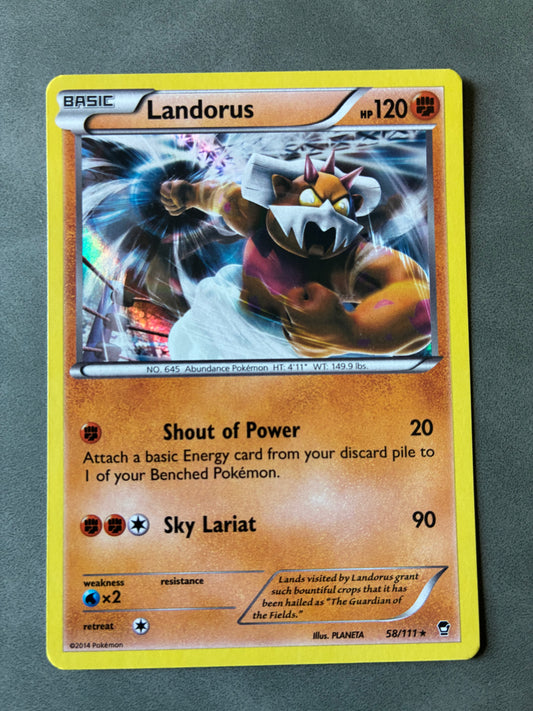2014 POKEMON TCG LANDORUS 58/111 HOLO