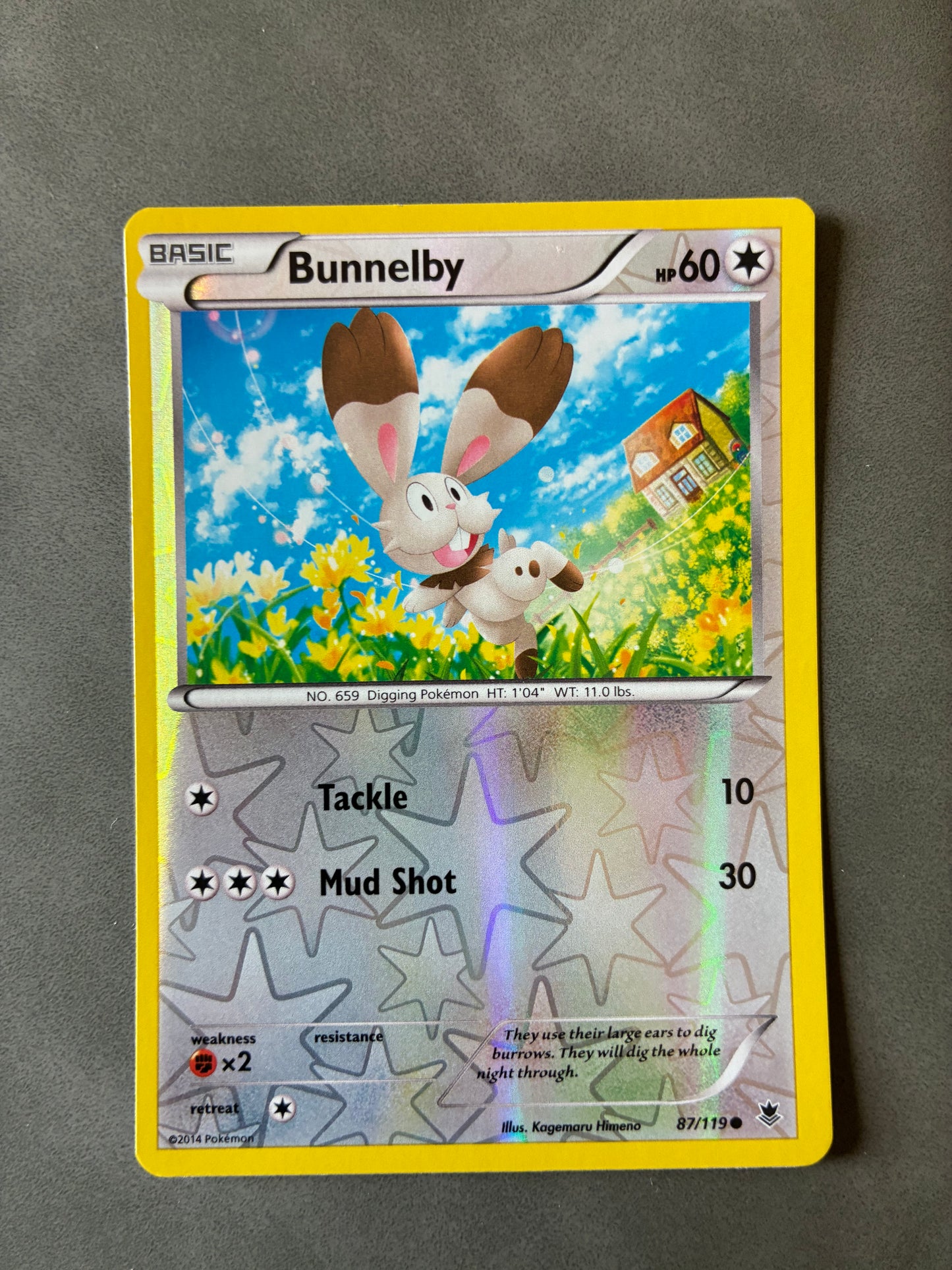 2014 POKEMON TCG - BUNNELBY 87/119 HOLO