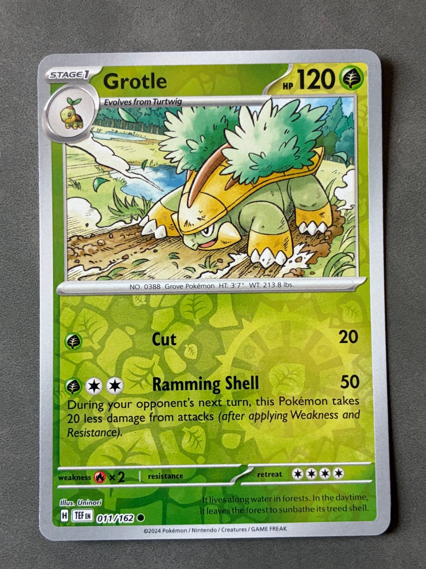 2024 POKEMON TCG - GROTLE 011/162 HOLO
