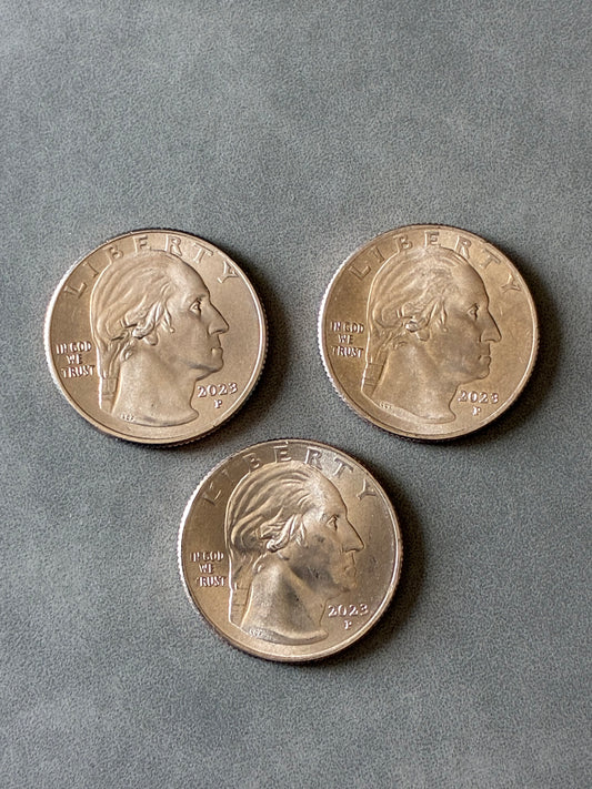 2023 P QUARTER FT. ELEANOR ROOSEVELT - 3X CIRC. GREAT CONDITION - "IN COD" ERROR