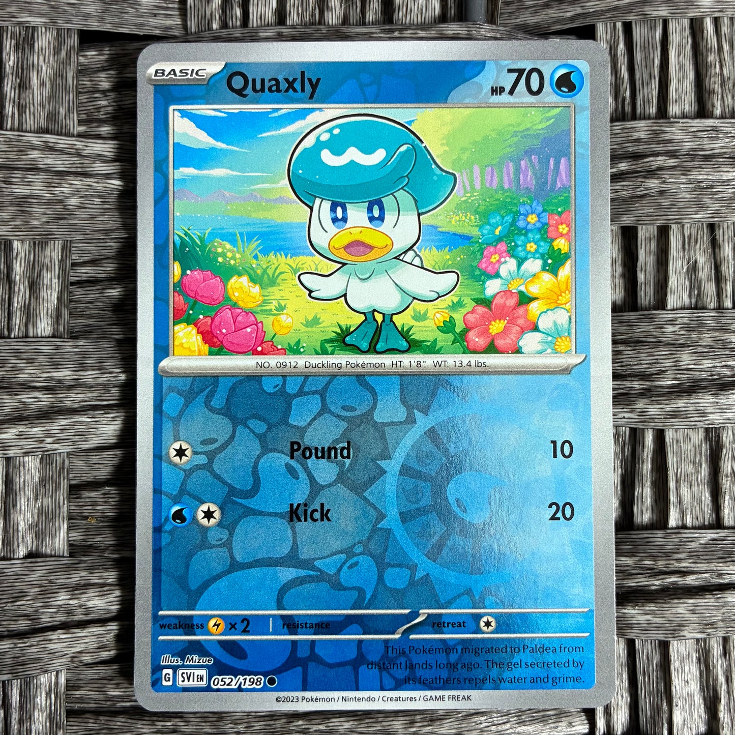 POKEMON TCG - SELECT YOUR CARD - HOLOS