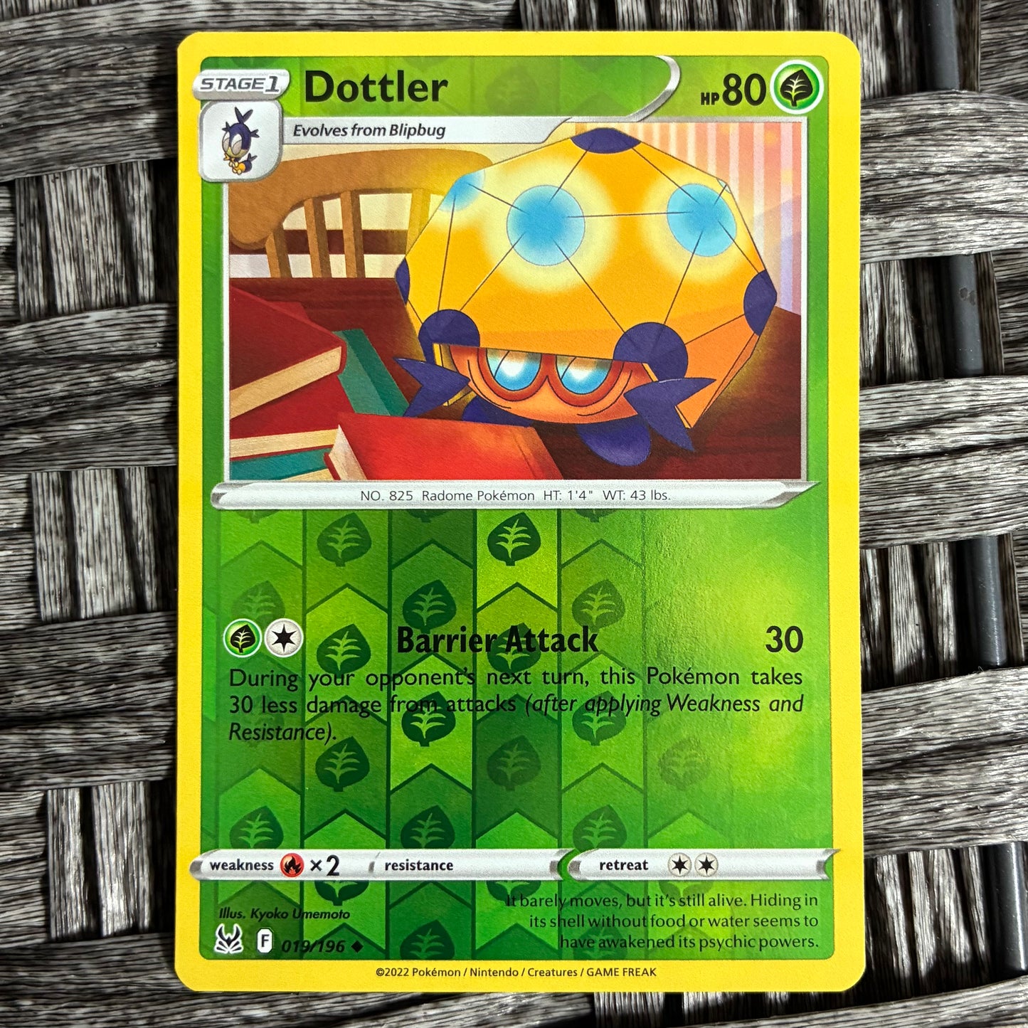 POKEMON TCG - SELECT YOUR CARD - HOLOS