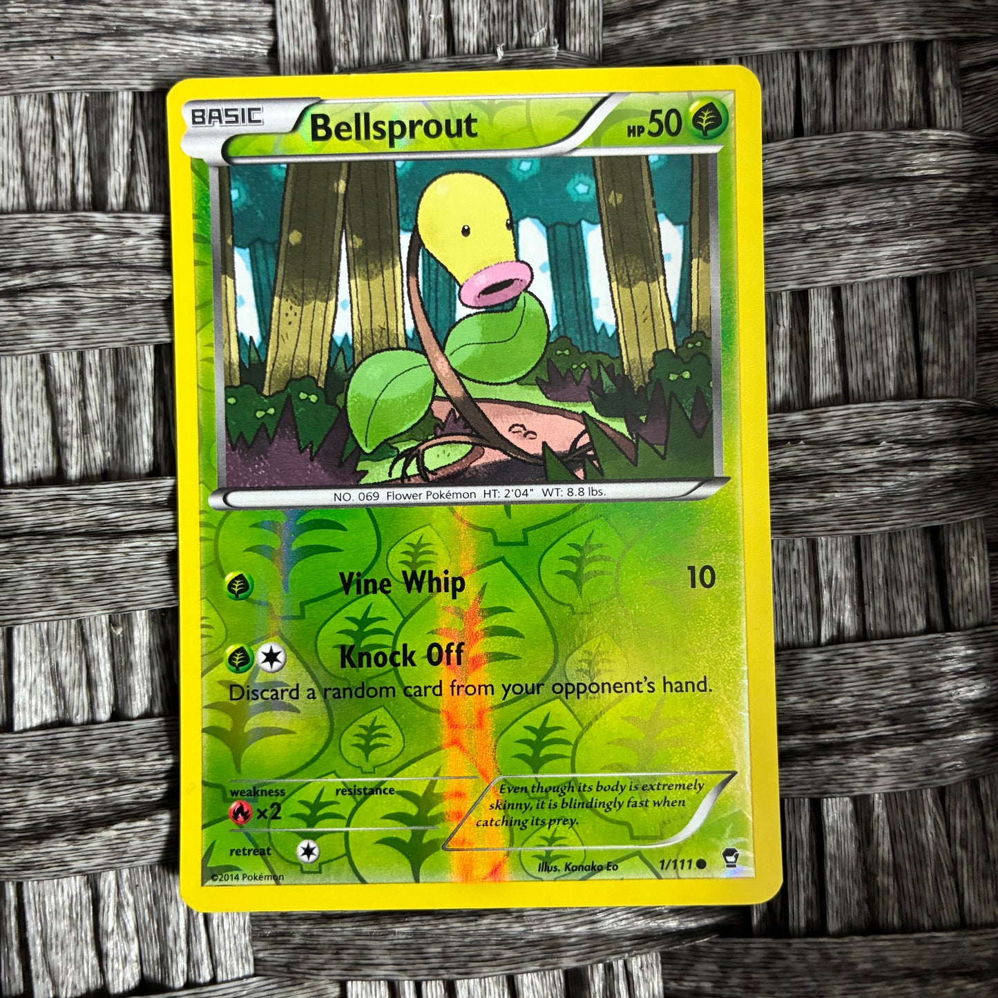 POKEMON TCG - SELECT YOUR CARD - HOLOS