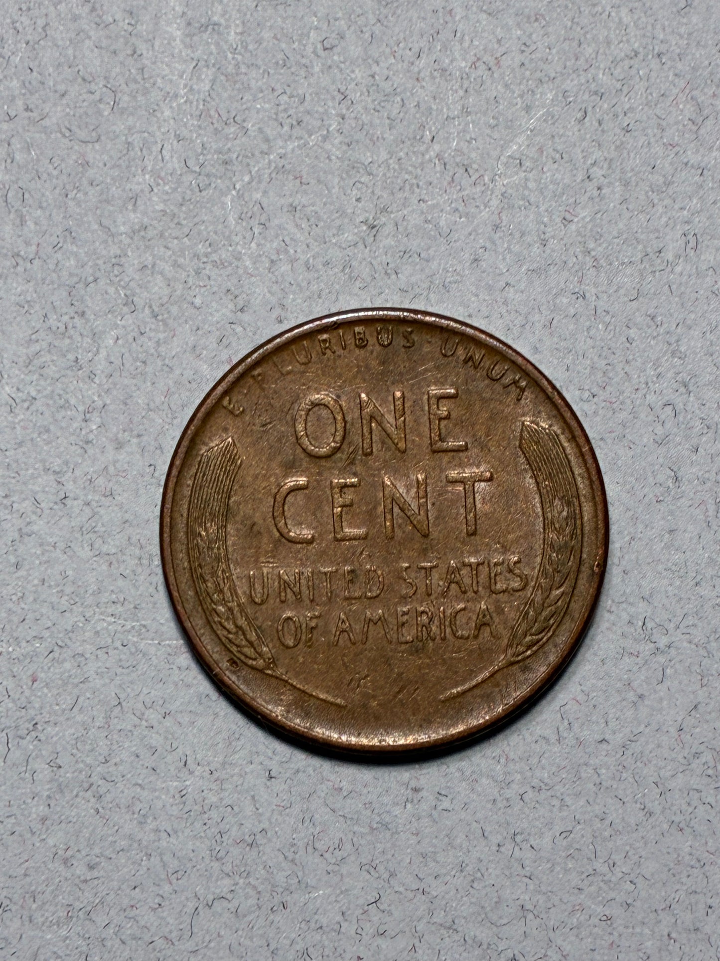 1955 D WHEAT PENNY - OFF CENTER "L" ON RIM 95% COPPER - CIRCULATED (LN1603)