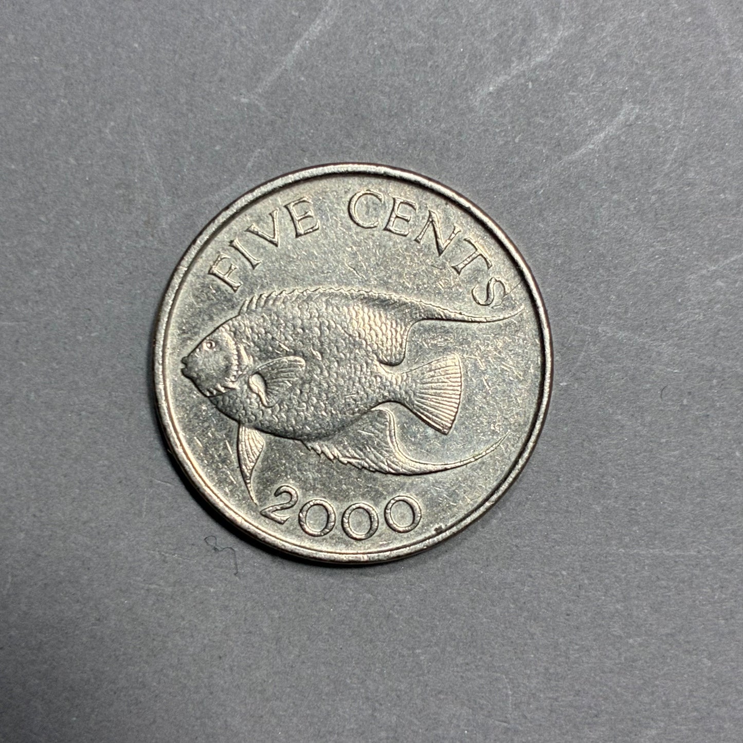 2000 BERMUDA 5 CENTS QUEEN ELIZABETH II