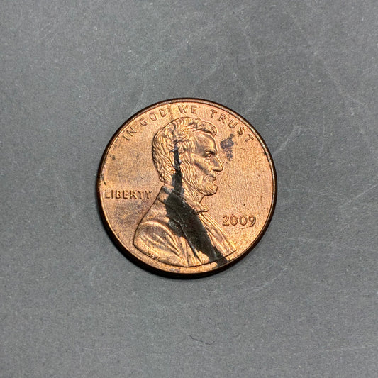 2009 PENNY NO MINT MARK SITTING ON A LOG