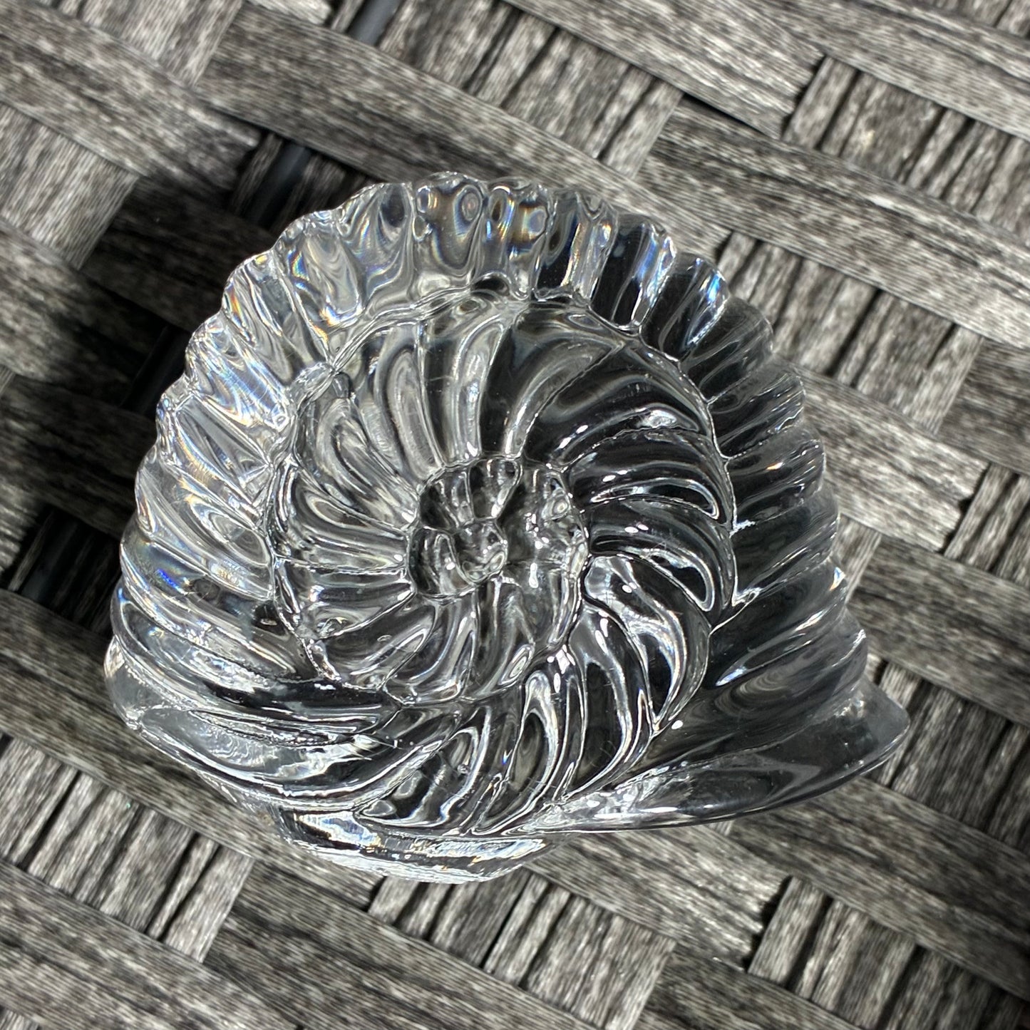 CLEAR ART GLASS SHELL PAPER WEIGHT - GREAT CONDITION - NO MAKERS MARK - 1.25LBS
