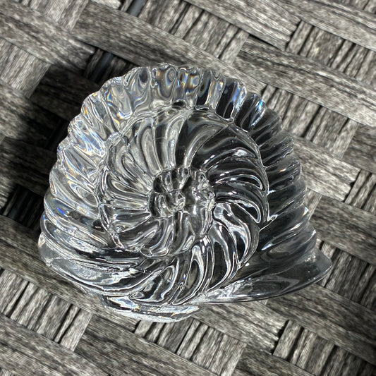 CLEAR ART GLASS SHELL PAPER WEIGHT - GREAT CONDITION - NO MAKERS MARK - 1.25LBS
