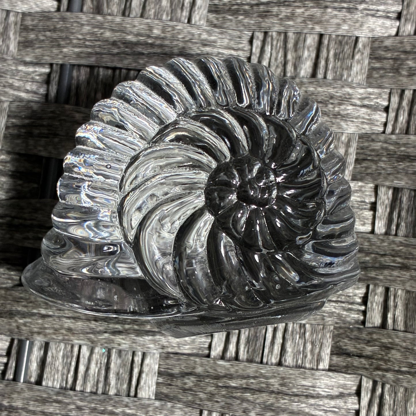 CLEAR ART GLASS SHELL PAPER WEIGHT - GREAT CONDITION - NO MAKERS MARK - 1.25LBS