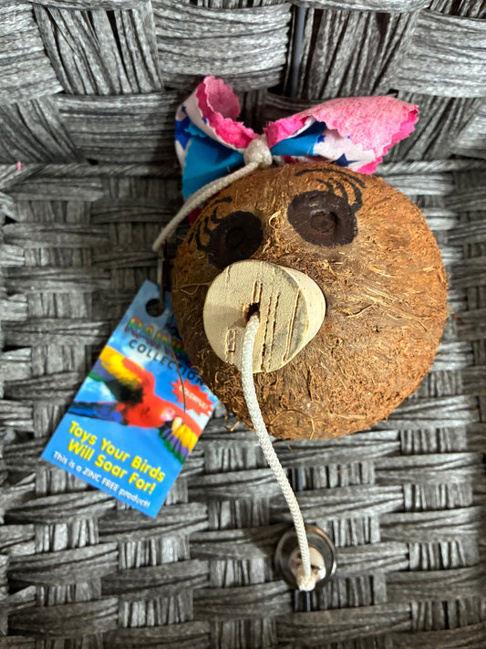 POLLY'S RAINBOW COLLECTION HANGING COCONUT BIRD TOY