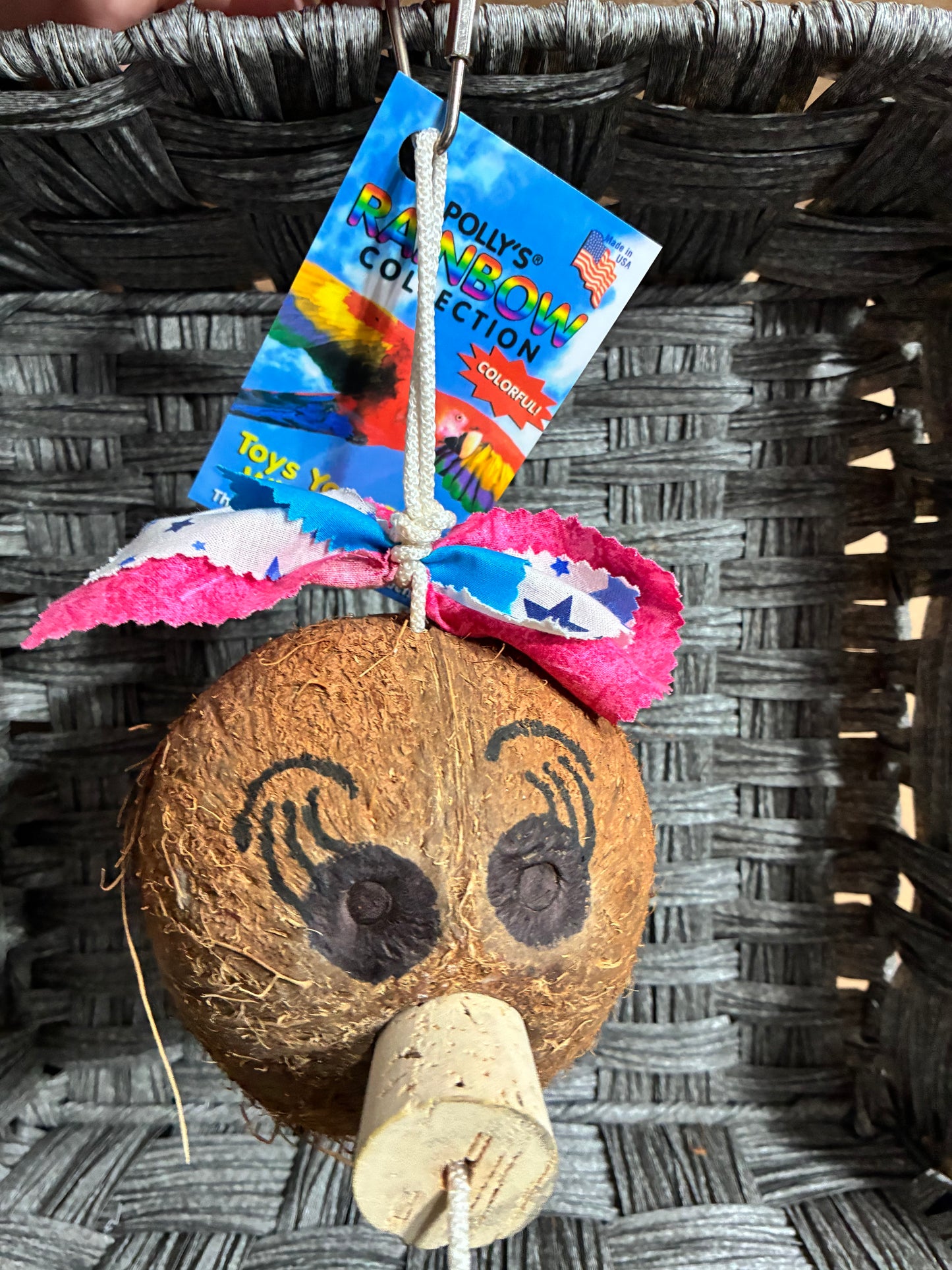 POLLY'S RAINBOW COLLECTION HANGING COCONUT BIRD TOY