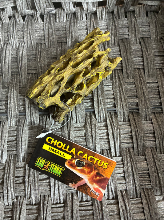EXO TERRA CHOLLA CACTUS SKELETON