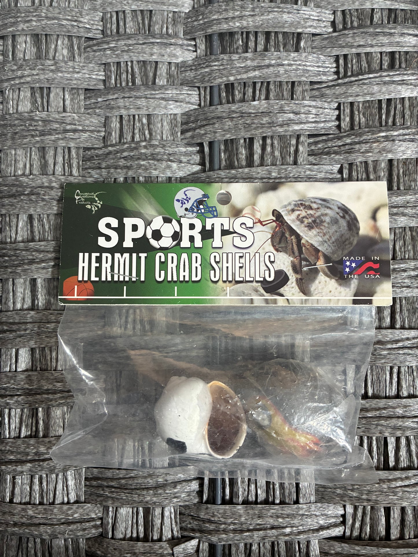 SPORTS THEMED DECORATIVE HERMIT CRAB SHELLS 2 PACKS OF 2CT