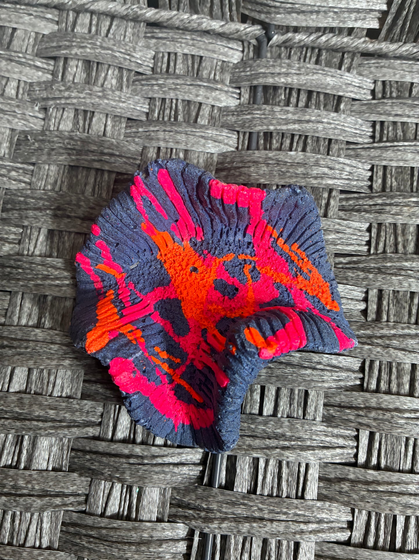 CC PET BRAIN CORRAL AQUARIUM DECOR