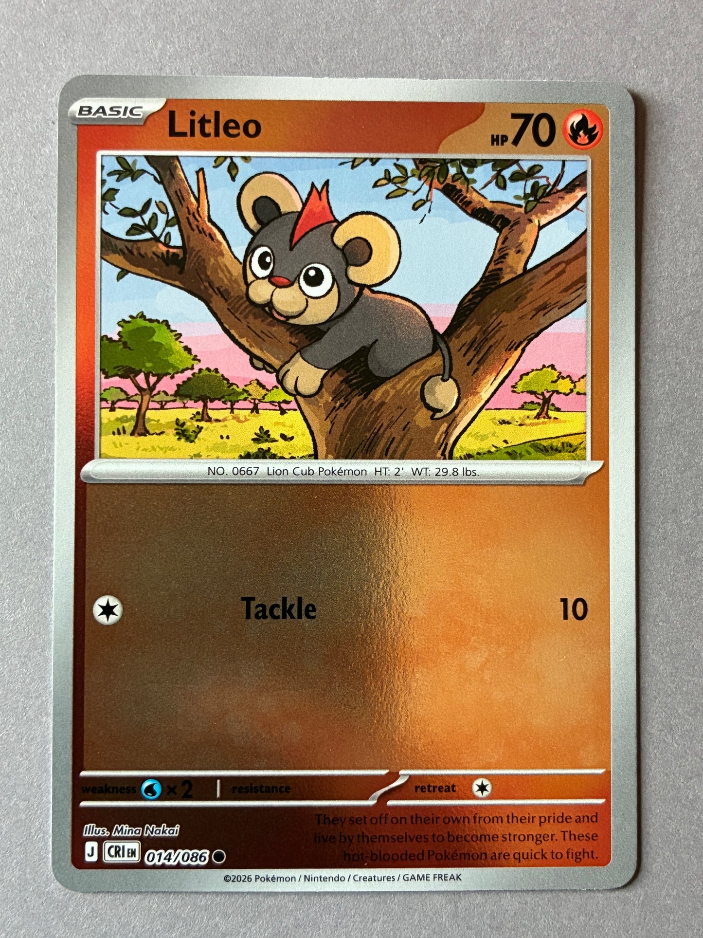 2026 POKEMON TCG (CRI) - LITLEO 014/086 (HOLO)
