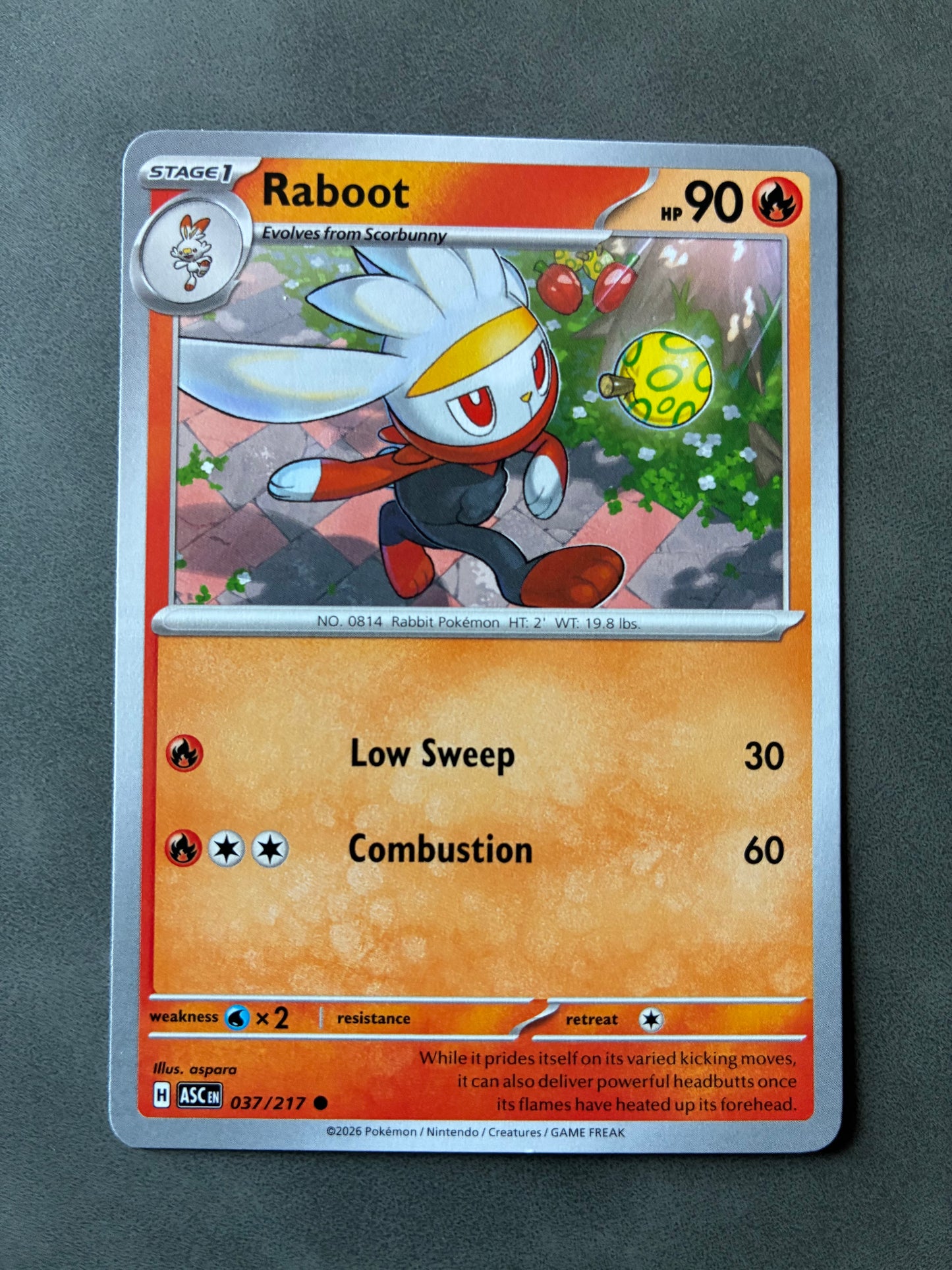 2026 POKEMON TCG (ASC) - RABOOT 037/217