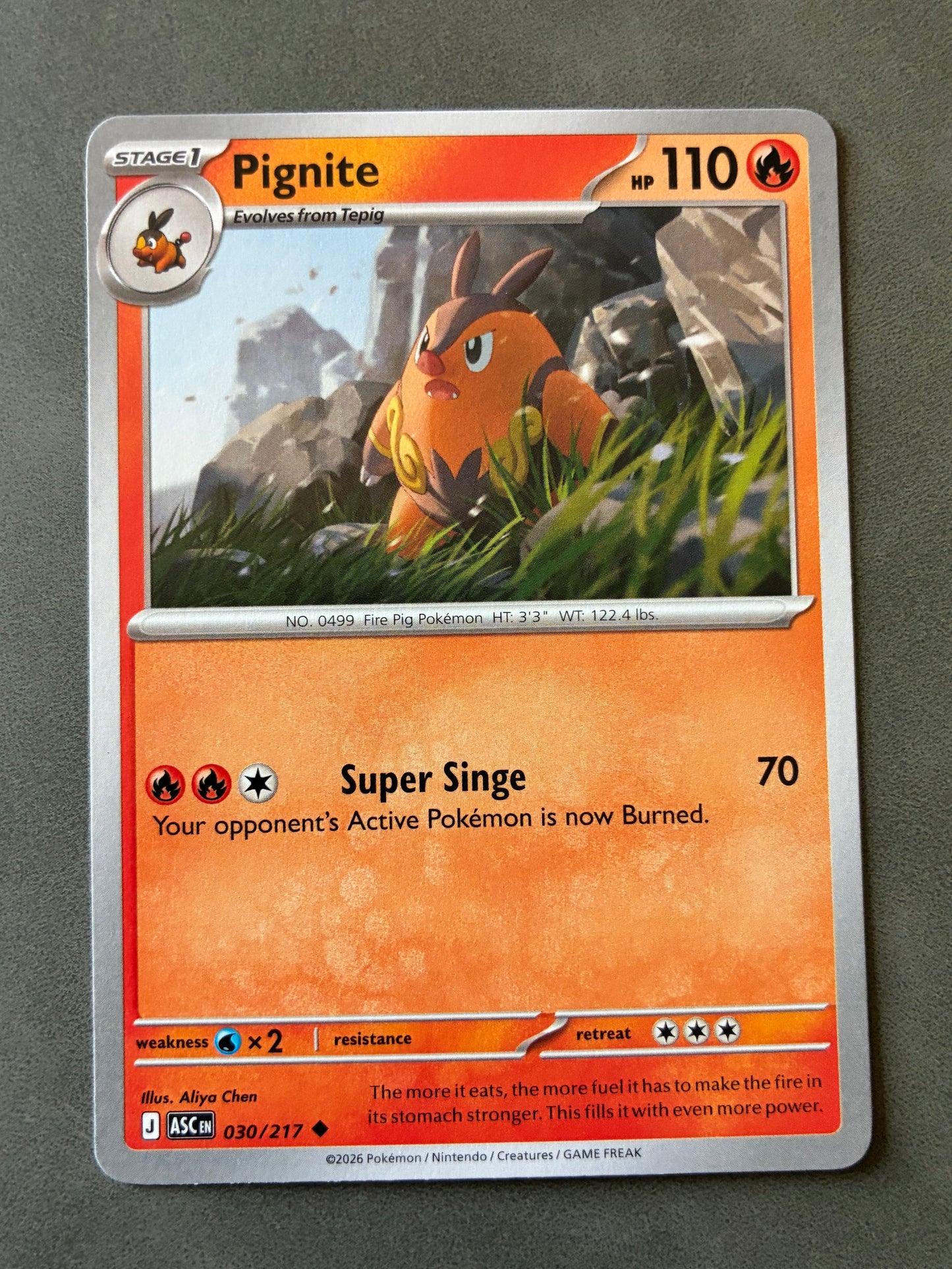 2026 POKEMON TCG (ASC) - PIGNITE 030/217