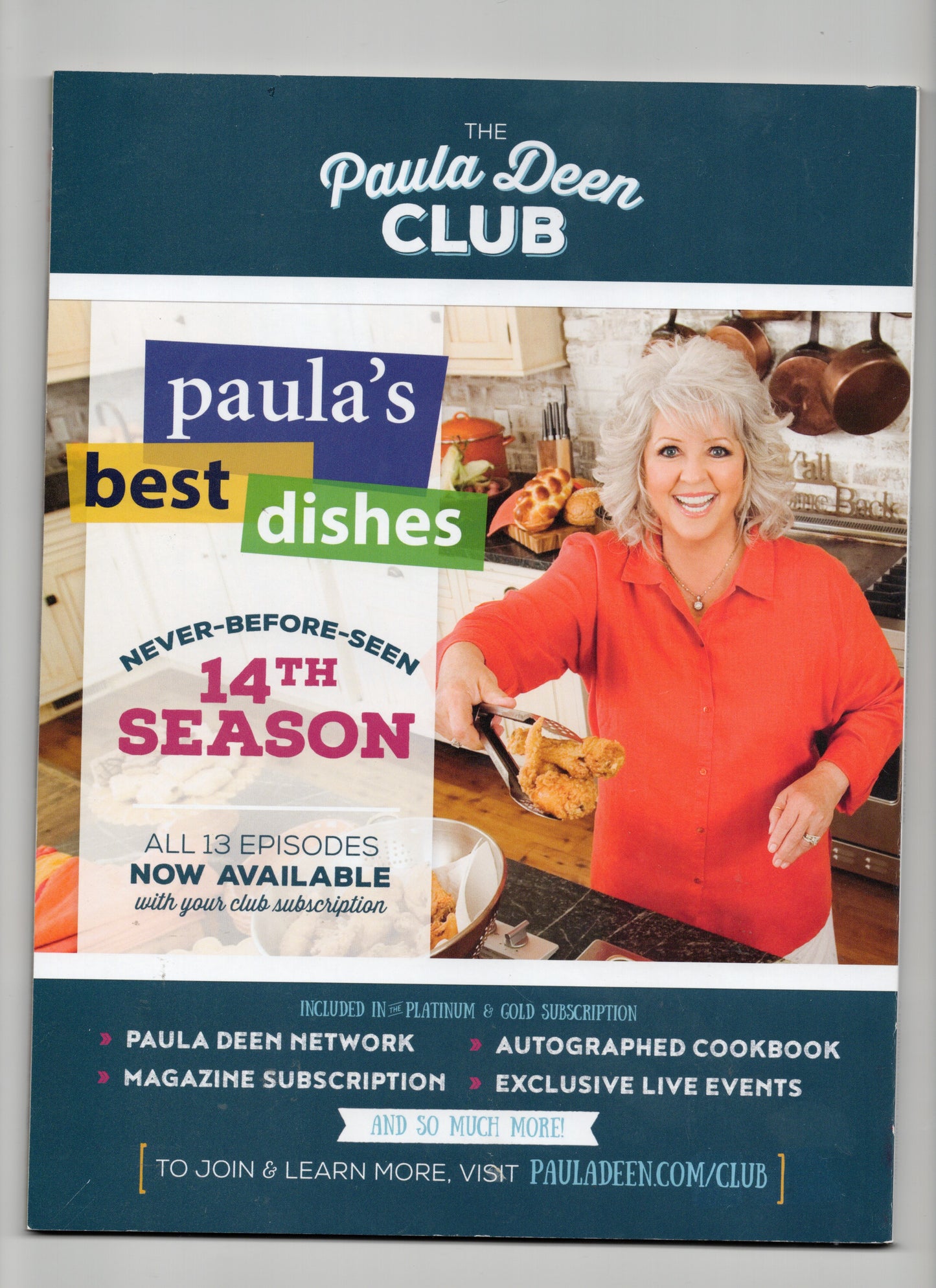 PAULA DEEN'S ONE-DISH MEALS FAMILY FAVORITE CHICKEN DISHES - 2017 - GREAT COND.