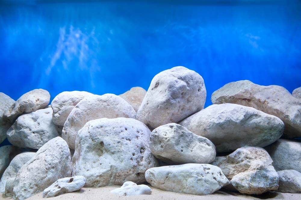 SEAVIEW DOUBLE SIDED HIGH DEFINITION AQUARIUM BACKGROUND BRIGHT STONE/GARDEN