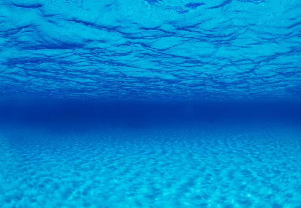 SEAVIEW DOUBLE SIDED HIGH DEFINITION AQUARIUM BACKGROUND NATURAL MYSTIC/SEASCAPE